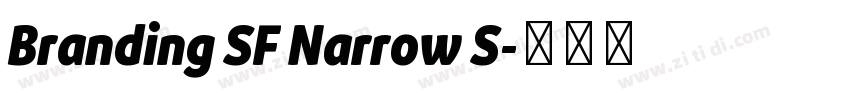 Branding SF Narrow S字体转换